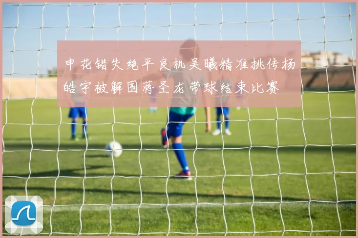 申花错失绝平良机吴曦精准挑传杨皓宇被解围蒋圣龙带球结束比赛