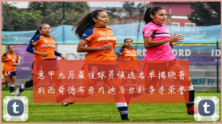 意甲九月最佳球员候选名单揭晓普利西奇德布劳内迪马尔科争夺荣誉