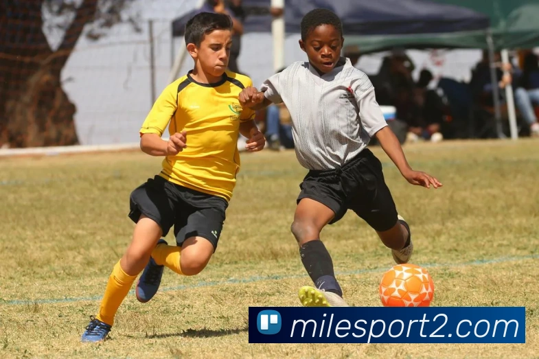 米乐体育品牌故事