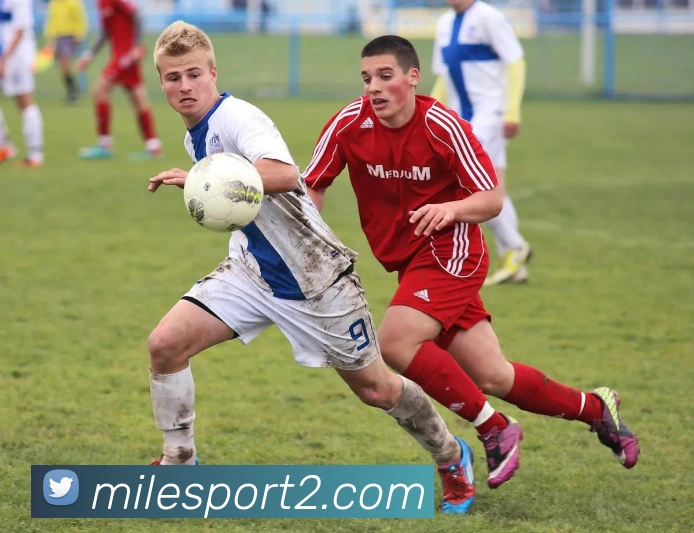 米乐体育服务体系